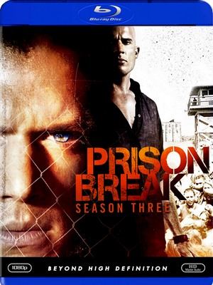 Побег из тюрьмы / Prison Break (Сезон 1,2,3,4 все серии) 2006-2009 HDTVRip