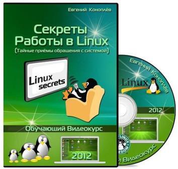 Секреты работы в Linux. Обучающий видеокурс